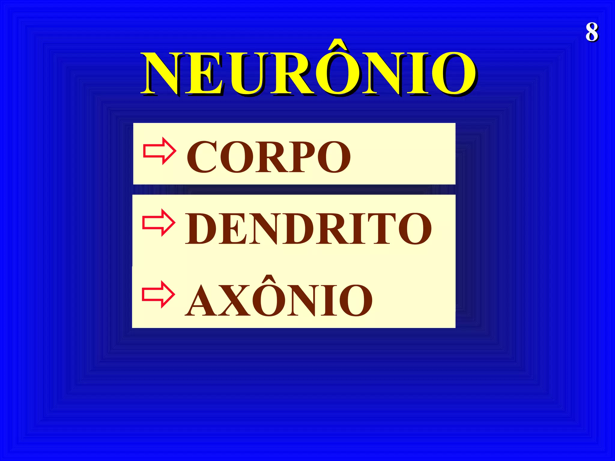 88
NEURÔNIONEURÔNIO
CORPO
DENDRITO
SAXÔNIO
 