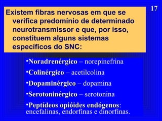 1717
Existem fibras nervosas em que se
verifica predomínio de determinado
neurotransmissor e que, por isso,
constituem alguns sistemas
específicos do SNC:
•NoradrenérgicoNoradrenérgico – norepinefrina
•ColinérgicoColinérgico – acetilcolina
•DopaminérgicoDopaminérgico – dopamina
•SerotoninérgicoSerotoninérgico – serotonina
•Peptídeos opióides endógenosPeptídeos opióides endógenos:
encefalinas, endorfinas e dinorfinas.
 