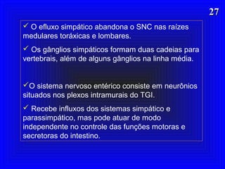 2727
 O efluxo simpático abandona o SNC nas raízes
medulares toráxicas e lombares.
 Os gânglios simpáticos formam duas cadeias para
vertebrais, além de alguns gânglios na linha média.
O sistema nervoso entérico consiste em neurônios
situados nos plexos intramurais do TGI.
 Recebe influxos dos sistemas simpático e
parassimpático, mas pode atuar de modo
independente no controle das funções motoras e
secretoras do intestino.
 
