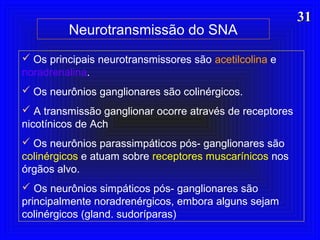 3131
Neurotransmissão do SNA
 Os principais neurotransmissores são acetilcolina e
noradrenalina.
 Os neurônios ganglionares são colinérgicos.
 A transmissão ganglionar ocorre através de receptores
nicotínicos de Ach
 Os neurônios parassimpáticos pós- ganglionares são
colinérgicos e atuam sobre receptores muscarínicos nos
órgãos alvo.
 Os neurônios simpáticos pós- ganglionares são
principalmente noradrenérgicos, embora alguns sejam
colinérgicos (gland. sudoríparas)
 