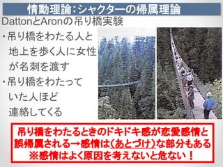 情動理論：シャクターの帰属理論
DattonとAronの吊り橋実験
・吊り橋をわたる人と
地上を歩く人に女性
が名刺を渡す
・吊り橋をわたって
いた人ほど
連絡してくる
吊り橋をわたるときのドキドキ感が恋愛感情と
誤帰属される→感情は（あとづけ）な部分もある
※感情はよく原因を考えないと危ない！
 
