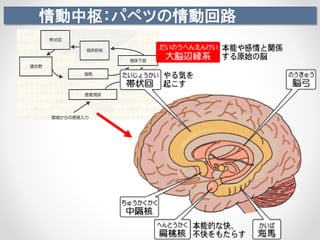 情動中枢：パペツの情動回路
 
