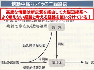情動中枢：ルドゥの二経路説
・扁桃体を中心とする辺縁系を経由する経路大
雑把だが迅速に行なわれる自動処理
・新皮質を経由し扁桃体に調整する経路
複雑で高次の認知処理
高度な情動は新皮質を経由して大脳辺縁系へ
よく考えない経路と考える経路を使い分けている！
 
