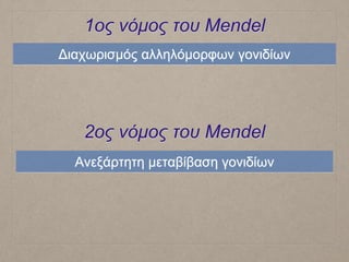 1oς νόμος του Mendel
Διαχωρισμός αλληλόμορφων γονιδίων
2ος νόμος του Mendel
Ανεξάρτητη μεταβίβαση γονιδίων
 