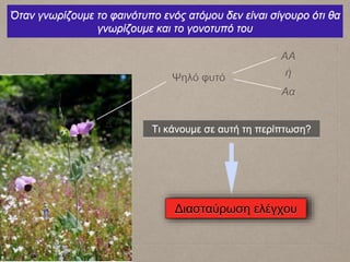 ΑΑ
Ψηλό φυτό
Όταν γνωρίζουμε το φαινότυπο ενός ατόμου δεν είναι σίγουρο ότι θα
γνωρίζουμε και το γονοτυπό του
Αα
ή
Τι κάνουμε σε αυτή τη περίπτωση?
Διασταύρωση ελέγχου
 