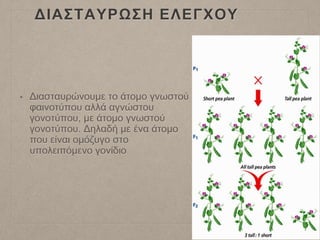 ΔΙΑΣΤΑΥΡΩΣΗ ΕΛΕΓΧΟΥ
• Διασταυρώνουμε το άτομο γνωστού
φαινοτύπου αλλά αγνώστου
γονοτύπου, με άτομο γνωστού
γονοτύπου. Δηλαδή με ένα άτομο
που είναι ομόζυγο στο
υπολειπόμενο γονίδιο
 