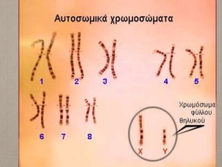 5. γενετική