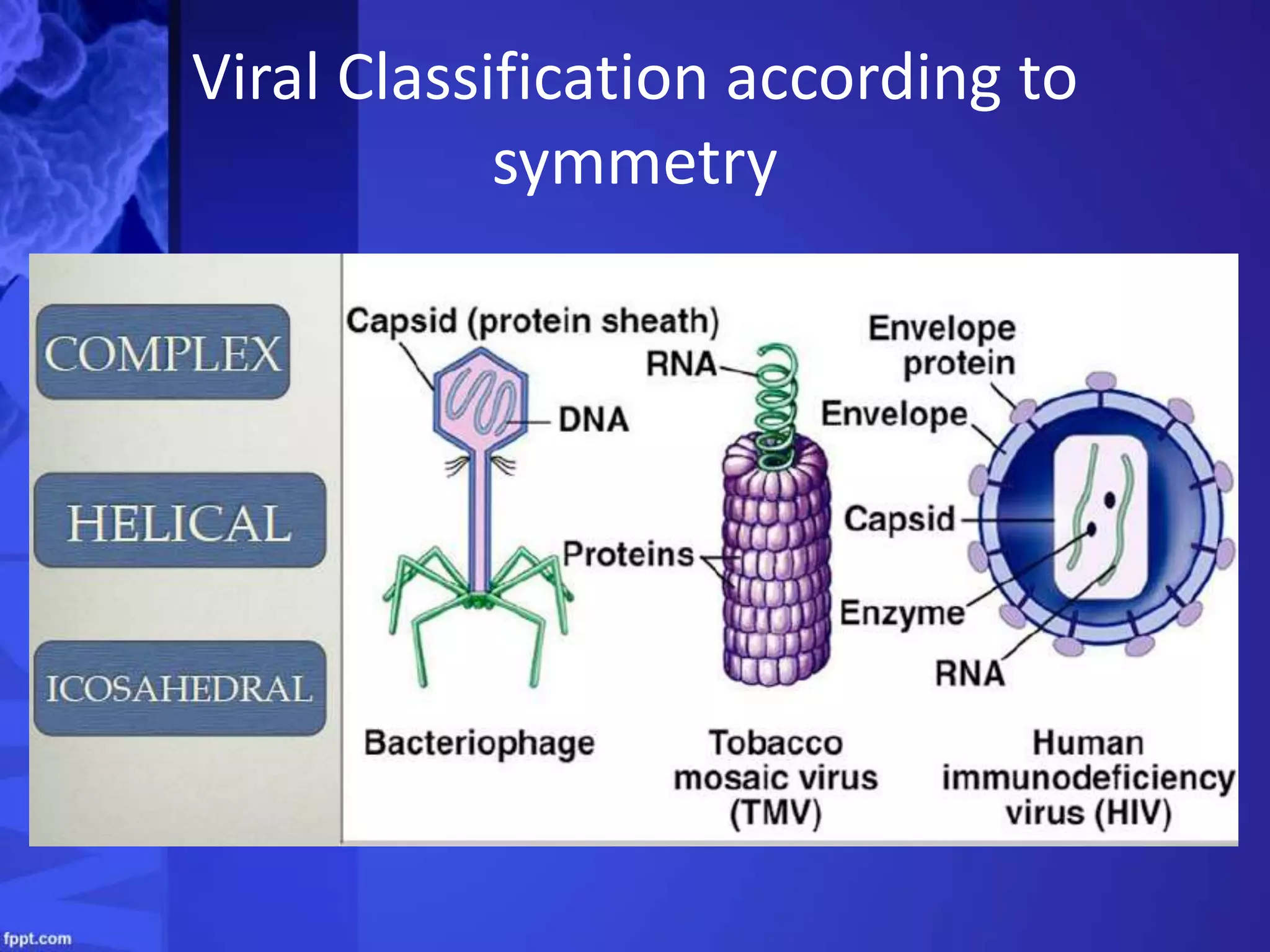 Virus, Viroids and Prions | PPTX