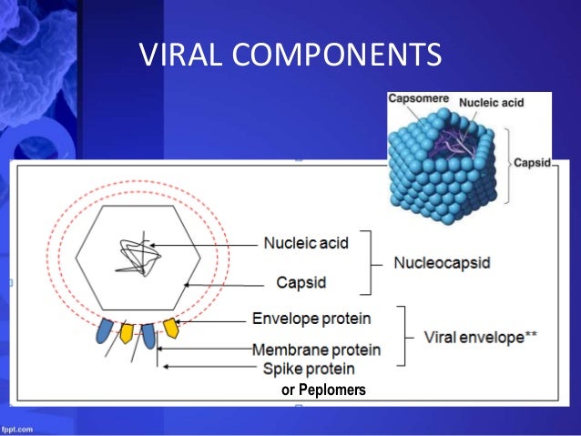 Virus; Viroids and Prions