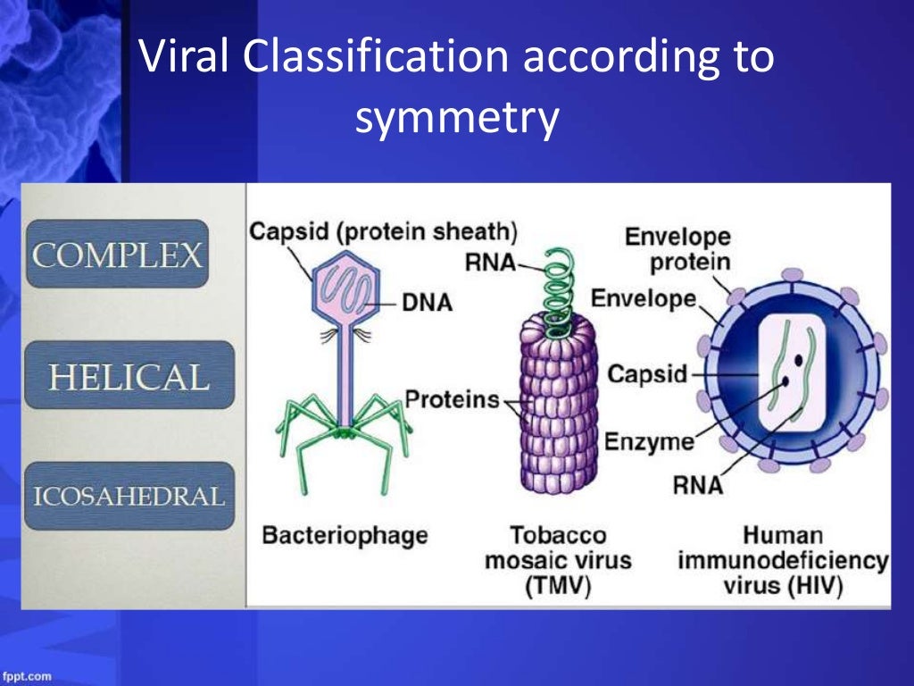 Virus, Viroids and Prions