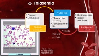 - Talasemia
• Ausente
• Disminuida
Síntesis
Cadena 
•  Producción
cadenas 
• Hemoglobina de
Bart
Vida Fetal
• Eliminados bazo
• Proceso
hemolítico
Cuerpos de
Heinz
Precipita
Eritrocito
envejece
Eritrocitos
microciticos e
hipocromicos
 