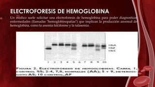 ELECTROFORESIS DE HEMOGLOBINA
Un médico suele solicitar una electroforesis de hemoglobina para poder diagnosticar
enfermedades (llamadas "hemoglobinopatías") que implican la producción anormal de
hemoglobina, como la anemia falciforme y la talasemia.
 