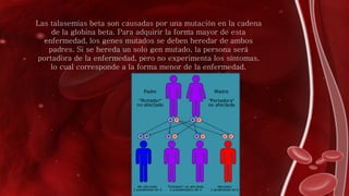 Las talasemias beta son causadas por una mutación en la cadena
de la globina beta. Para adquirir la forma mayor de esta
enfermedad, los genes mutados se deben heredar de ambos
padres. Si se hereda un solo gen mutado, la persona será
portadora de la enfermedad, pero no experimenta los síntomas,
lo cual corresponde a la forma menor de la enfermedad.
 