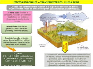 Cuando los contaminantes vuelven a la superficie terrestre en zonas
alejadas de los focos de emisión originan contaminación transfronteriza.
La lluvia ácidalluvia ácida se debe al
transporte, reacción, precipitación
y depósito de los óxidos de
nitrógeno y de azufre de dos
formas:
Deposición seca: en forma
gaseosa o como aerosoles
(cenizas y partículas secas).
Deposición húmeda: se oxidan
dando ácidos (sulfúrico y nítrico),
que se disuelven con el agua en
las nubes (lluvia y nieve).
SO2 SO3
SO2+ H2O  H2SO3 (ácido sulfuroso)
SO3+ H2O  H2SO4 (ácido sulfúrico)
H2SO3 + 2 OH-  H2SO4 + H2O
NO2 + OH-  HNO3 (ácido nítrico)
La combustión de combustibles fósiles produce dióxido
de azufre y óxidos de nitrógeno como contaminantes
primarios. Estos gases pueden convertirse en
contaminantes secundarios de deposición seca
(como las cenizas y las partículas secas) o de
deposición húmeda (como la lluvia y la nieve).
Términos
clave
EFECTOS REGIONALES o TRANSFRONTERIZOS: LLUVÍA ÁCIDA
 