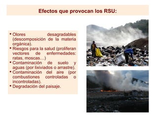 Efectos que provocan los RSU:
 Olores desagradables
(descomposición de la materia
orgánica).
 Riesgos para la salud (proliferan
vectores de enfermedades:
ratas, moscas…)
 Contaminación de suelo y
aguas (por lixiviados o arrastre).
 Contaminación del aire (por
combustiones controladas o
incontroladas).
 Degradación del paisaje.
 