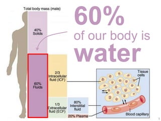 1
60%
of our body is
water
 