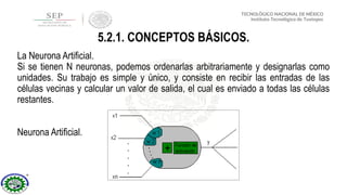 La Neurona Artificial.
Si se tienen N neuronas, podemos ordenarlas arbitrariamente y designarlas como
unidades. Su trabajo es simple y único, y consiste en recibir las entradas de las
células vecinas y calcular un valor de salida, el cual es enviado a todas las células
restantes.
Neurona Artificial.
5.2.1. CONCEPTOS BÁSICOS.
 