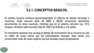 El cerebro humano contiene aproximadamente 12 billones de células nerviosas o
neuronas. Cada neurona tiene de 5600 a 60000 conexiones dendríticas
provenientes de otras neuronas, mientras que en el sistema nervioso hay 1014
sinapsis; teniendo cada neurona más de 1000 a la entrada y a la salida.
Es importante destacar que aunque el tiempo de conmutación de la neurona es casi
un millón de veces menor que las computadoras actuales, ellas tienen una
conectividad miles de veces superior que las actuales supercomputadoras.
5.2.1. CONCEPTOS BÁSICOS.
 