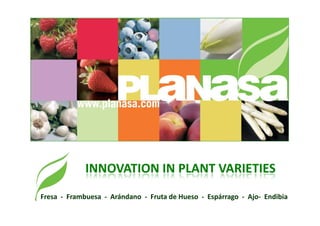 INNOVATION IN PLANT VARIETIES
Fresa - Frambuesa - Arándano - Fruta de Hueso - Espárrago - Ajo- Endibia
 