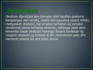 Oksitosin diproduksi dan disimpan oleh hipofisis posterior.
Rangsangan dari serviks, vagina dan payudara secara refleks
melepaskan oksitosin, hal tersebut berkaitan dg semakin
sensitivnya uterus terhadap oksitosin, sehingga pada akhir
kehamilan kadar oksitosin meninggi dimana berikatan dg
reseptor oksitosin yg terletak di dlm miometrium yaitu dlm
membran plasma sel otot polos uterus
 