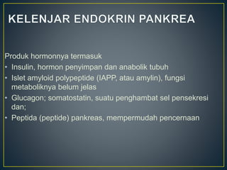Produk hormonnya termasuk
• Insulin, hormon penyimpan dan anabolik tubuh
• Islet amyloid polypeptide (IAPP, atau amylin), fungsi
metaboliknya belum jelas
• Glucagon; somatostatin, suatu penghambat sel pensekresi
dan;
• Peptida (peptide) pankreas, mempermudah pencernaan
 
