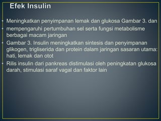 • Meningkatkan penyimpanan lemak dan glukosa Gambar 3. dan
• mempengaruhi pertumbuhan sel serta fungsi metabolisme
berbagai macam jaringan
• Gambar 3. Insulin meningkatkan sintesis dan penyimpanan
glikogen, trigliserida dan protein dalam jaringan sasaran utama:
hati, lemak dan otot
• Rilis insulin dari pankreas distimulasi oleh peningkatan glukosa
darah, stimulasi saraf vagal dan faktor lain
 