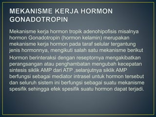 Mekanisme kerja hormon tropik adenohipofisis misalnya
hormon Gonadotropin (hormon kelamin) merupakan
mekanisme kerja hormon pada taraf selular tergantung
jenis hormonnya, mengikuti salah satu mekanisme berikut
Hormon berinteraksi dengan reseptornya mengakibatkan
perangsangan atau penghambatan mengubah kecepatan
sintesis siklik AMP dari ATP ,selanjutnya siklik AMP
berfungsi sebagai mediator intrasel untuk hormon tersebut
dan seluruh sistem ini berfungsi sebagai suatu mekanisme
spesifik sehingga efek spesifik suatu hormon dapat terjadi.
 