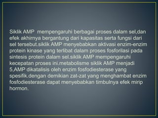 Siklik AMP mempengaruhi berbagai proses dalam sel,dan
efek akhirnya bergantung dari kapasitas serta fungsi dari
sel tersebut.siklik AMP menyebabkan aktivasi enzim-enzim
protein kinase yang terlibat dalam proses fosforilasi pada
sintesis protein dalam sel.siklik AMP mempengaruhi
kecepatan proses ini.metabolisme siklik AMP menjadi
5,AMP dikatalisis oleh enzim fosfodiesterase yang
spesifik.dengan demikian zat-zat yang menghambat enzim
fosfodiesterase dapat menyebabkan timbulnya efek mirip
hormon.
 