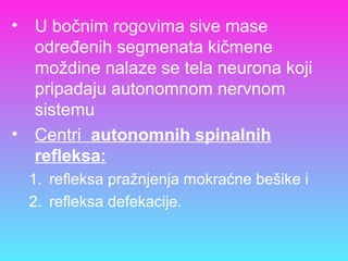 • U bočnim rogovima sive mase
određenih segmenata kičmene
moždine nalaze se tela neurona koji
pripadaju autonomnom nervnom
sistemu
• Centri autonomnih spinalnih
refleksa:
1. refleksa pražnjenja mokraćne bešike i
2. refleksa defekacije.
 
