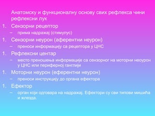 Анатомску и функционалну основу свих рефлекса чини
рефлексни лук
1. Сензорни рецептор
– прима надражај (стимулус)
1. Сензорни неурон (аферентни неурон)
– преноси информацију са рецептора у ЦНС
1. Рефлексни центар
– место преношења информације са сензорног на моторни неоурон
у ЦНС или периферној ганглији
1. Моторни неурон (еферентни неурон)
– преноси инструкцију до органа ефектора
1. Ефектор
– орган који одговара на надражај. Ефектори су сви типови мишића
и жлезда.
 