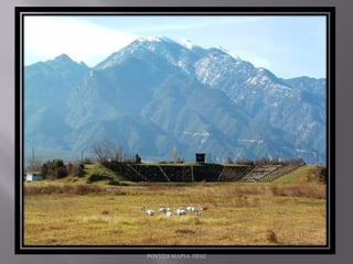 ΡΟΥΣΣΗ ΜΑΡΙΑ ΠΕ02
 