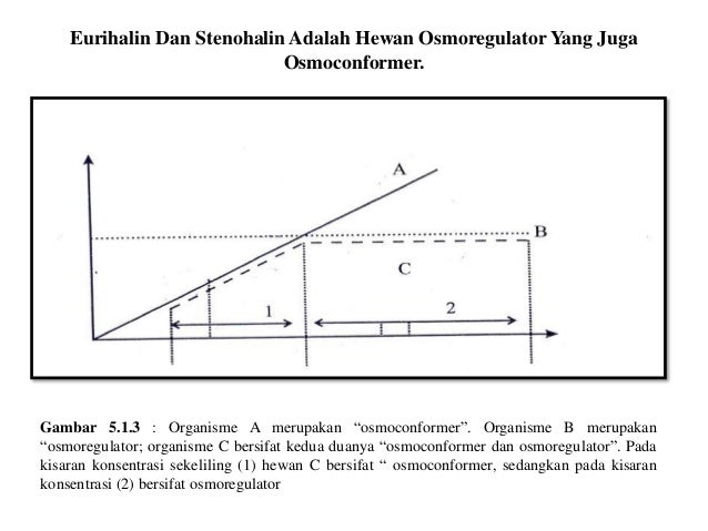 Prinsip osmosis dan osmoregulator