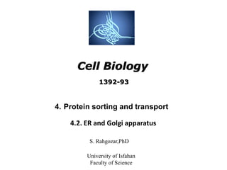 Cell Biology
S. Rahgozar,PhD
University of Isfahan
Faculty of Science
4. Protein sorting and transport
4.2. ER and Golgi apparatus
1392-93
 