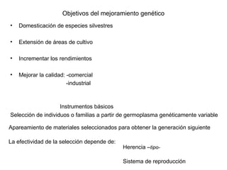 Objetivos del mejoramiento genético
• Domesticación de especies silvestres
• Extensión de áreas de cultivo
• Incrementar los rendimientos
• Mejorar la calidad: -comercial
-industrial
Instrumentos básicos
Selección de individuos o familias a partir de germoplasma genéticamente variable
Apareamiento de materiales seleccionados para obtener la generación siguiente
La efectividad de la selección depende de:
Herencia –tipo-
Sistema de reproducción
 