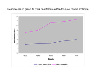 Rendimiento en grano de maíz en diferentes décadas en el mismo ambiente
0
1
2
3
4
5
6
7
8
1930 1940 1950 1960 1970
Década
Rendimientotn/ha
Líneas endocriadas Híbridos simples
 