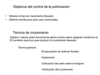 Objetivos del control de la polinización
• Obtener el tipo de cruzamiento deseado
• Obtener semilla pura para usos comerciales
Técnica de cruzamiento
Objetivo: colocar polen funcional de planta macho sobre estigmas receptivos en
El momento oportuno para producir el cruzamiento deseado
Técnica general :
Emasculación de botones florales
Aislamiento
Colocación del polen sobre el estigma
Verificación del cruzamiento
 