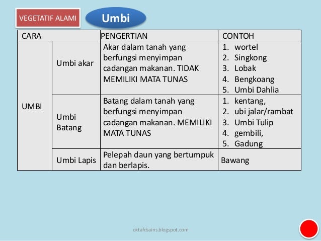 5 perkembangbiakan tumbuhan