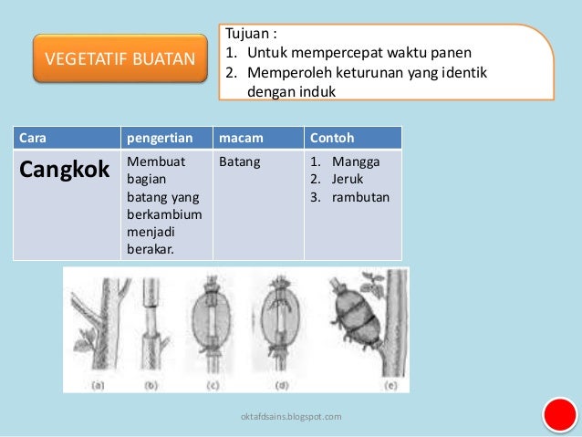 5 Perkembangbiakan Tumbuhan