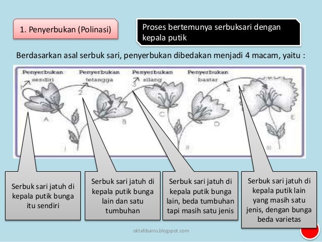 5 perkembangbiakan tumbuhan 5 perkembangbiakan tumbuhan