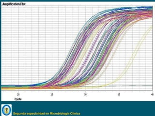 Segunda especialidad en Microbiología Clínica
 