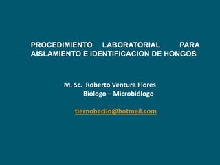 PROCEDIMIENTO LABORATORIAL PARA
AISLAMIENTO E IDENTIFICACION DE HONGOS
M. Sc. Roberto Ventura Flores
Biólogo – Microbiólogo
tiernobacilo@hotmail.com
 
