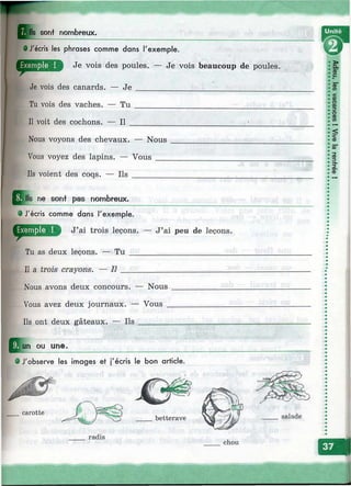 I Ils sonf nombreux.
. • J'écris les phrases comme dans l'exemple.
Je vois des poules. — Je vois beaucoup de poules.
Je vois des canards. — Je ___________________________________
Tu vois des vaches. — Tu ___________________________________
Il voit des cochons. — Il ___________
w
Nous voyons des chevaux. — Nous
Vous voyez des lapins. — Vous ___
Ils voient des coqs. — Ils ________
^ l l s ne sont pas nombreux,
e J'écris comme dans l'exemple.
J’ai trois leçons. — J’ai peu de leçons.
Tu as deux leçons. — Tu _________________________
Il a trois cra yon s. n
Nous avons deux concours. -
Vous avez deux journaux. —
Ils ont deux gâteaux. — Ils
un ou une.
- Nous
Vous
• J'observe les images et j'écris le bon article.
carotte
salade
radis
S:
с
Ш
chou
j
 