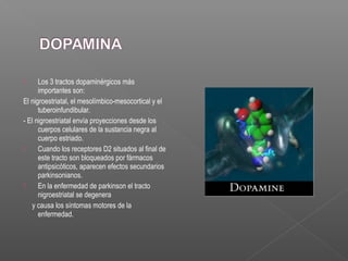  Los 3 tractos dopaminérgicos más
importantes son:
El nigroestriatal, el mesolímbico-mesocortical y el
tuberoinfundibular.
- El nigroestriatal envía proyecciones desde los
cuerpos celulares de la sustancia negra al
cuerpo estriado.
 Cuando los receptores D2 situados al final de
este tracto son bloqueados por fármacos
antipsicóticos, aparecen efectos secundarios
parkinsonianos.
 En la enfermedad de parkinson el tracto
nigroestriatal se degenera
y causa los síntomas motores de la
enfermedad.
 