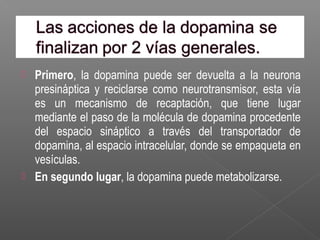  Primero, la dopamina puede ser devuelta a la neurona
presináptica y reciclarse como neurotransmisor, esta vía
es un mecanismo de recaptación, que tiene lugar
mediante el paso de la molécula de dopamina procedente
del espacio sináptico a través del transportador de
dopamina, al espacio intracelular, donde se empaqueta en
vesículas.
 En segundo lugar, la dopamina puede metabolizarse.
 