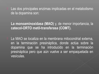  Las dos principales enzimas implicadas en el metabolismo
de la dopamina son:
La monoaminoxidasa (MAO) y, de menor importancia, la
catecol-ORTO metil-transferasa (COMT).
 La MAO se localiza en la membrana mitocondrial externa,
en la terminación presináptica, donde actúa sobre la
dopamina que se ha introducido en la terminación
presináptica pero que aún vuelve a ser empaquetada en
vesículas.
 