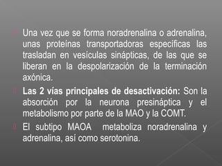  Una vez que se forma noradrenalina o adrenalina,
unas proteínas transportadoras específicas las
trasladan en vesículas sinápticas, de las que se
liberan en la despolarización de la terminación
axónica.
 Las 2 vías principales de desactivación: Son la
absorción por la neurona presináptica y el
metabolismo por parte de la MAO y la COMT.
 El subtipo MAOA metaboliza noradrenalina y
adrenalina, así como serotonina.
 