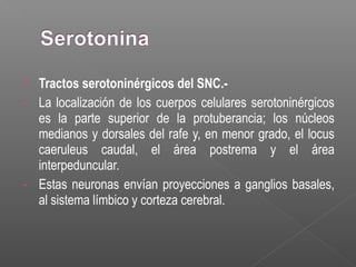  Tractos serotoninérgicos del SNC.-
- La localización de los cuerpos celulares serotoninérgicos
es la parte superior de la protuberancia; los núcleos
medianos y dorsales del rafe y, en menor grado, el locus
caeruleus caudal, el área postrema y el área
interpeduncular.
- Estas neuronas envían proyecciones a ganglios basales,
al sistema límbico y corteza cerebral.
 