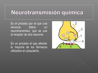  Es el proceso por el que una
neurona libera un
neurotransmisor, que se une
al receptor de otra neurona.
 Es un proceso al que afectan
la mayoría de los fármacos
utilizados en psiquiatría.
 
