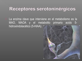  La enzima clave que interviene en el metabolismo es la
MAO, MAOA y el metabolito primario acido 5-
hidroxiindolacético (5-HIAA).
 