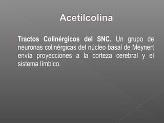  Tractos Colinérgicos del SNC. Un grupo de
neuronas colinérgicas del núcleo basal de Meynert
envía proyecciones a la corteza cerebral y el
sistema límbico.
 